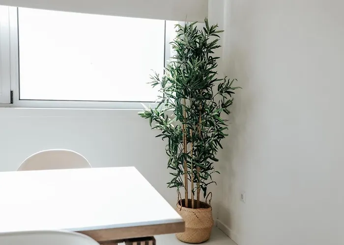 - Do Conde 빌다도콘데