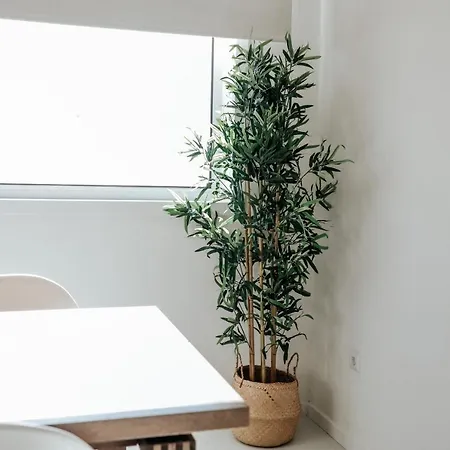 - Do Conde Vila do Conde